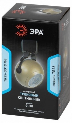 Светильник на штанге Эра  TR35-GU10 MG в Первоуральске - pervouralsk.ok-mebel.com | фото 4