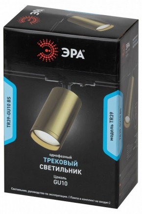 Светильник на штанге Эра  TR39-GU10 BS в Первоуральске - pervouralsk.ok-mebel.com | фото 4