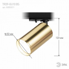 Светильник на штанге Эра  TR39-GU10 BS в Первоуральске - pervouralsk.ok-mebel.com | фото 6