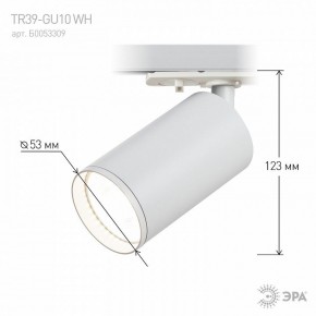 Светильник на штанге Эра  TR39-GU10 WH в Первоуральске - pervouralsk.ok-mebel.com | фото 7