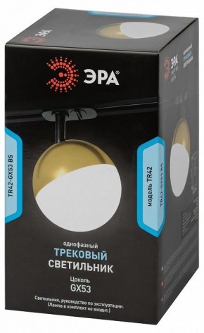 Светильник на штанге Эра  TR42-GX53 BS в Первоуральске - pervouralsk.ok-mebel.com | фото 6