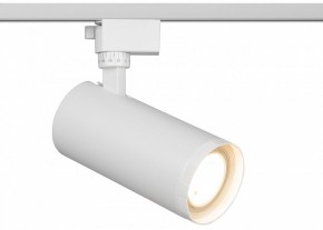 Светильник на штанге Эра  TR59 - 3030 WH в Первоуральске - pervouralsk.ok-mebel.com | фото