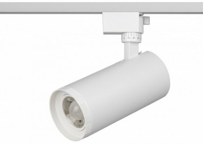 Светильник на штанге Эра  TR59 - 3030 WH в Первоуральске - pervouralsk.ok-mebel.com | фото 2