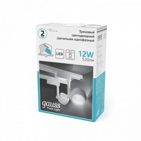 Светильник на штанге Gauss Track Light TR054 в Первоуральске - pervouralsk.ok-mebel.com | фото 5