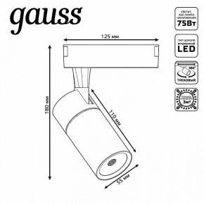 Светильник на штанге Gauss Track Light TR059 в Первоуральске - pervouralsk.ok-mebel.com | фото 6