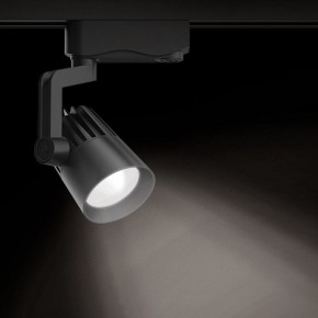 Светильник на штанге Gauss Track Light TR061 в Первоуральске - pervouralsk.ok-mebel.com | фото 2