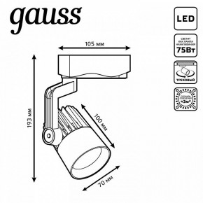 Светильник на штанге Gauss Track Light TR061 в Первоуральске - pervouralsk.ok-mebel.com | фото 6