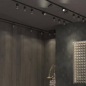 Светильник на штанге Novotech Elina 370777 в Первоуральске - pervouralsk.ok-mebel.com | фото 4