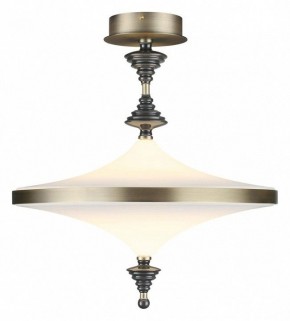Светильник на штанге Odeon Light Ula 5404/43CL в Первоуральске - pervouralsk.ok-mebel.com | фото 2