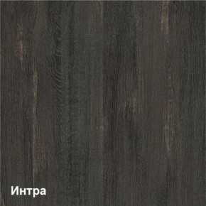 Трувор Шкаф 13.204.01 в Первоуральске - pervouralsk.ok-mebel.com | фото 3