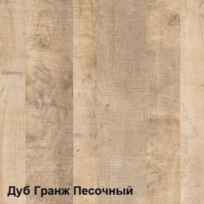 Трувор Шкаф 13.204.01 в Первоуральске - pervouralsk.ok-mebel.com | фото 4