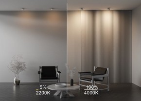 Встраиваемый светильник Maytoni Onda DL024-12W-DTW-W в Первоуральске - pervouralsk.ok-mebel.com | фото 10