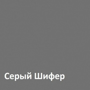 Юнона Шкаф торцевой 13.221 в Первоуральске - pervouralsk.ok-mebel.com | фото 2
